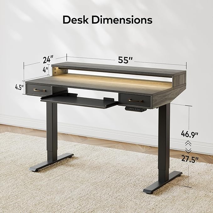 FEZIBO 55 x 24 Inch Height Adjustable Electric Standing Desk with Double Drawers&Keyboard Tray, Stand Up Desk with LED Strips&Monitor Stand,Rustic Grey Top