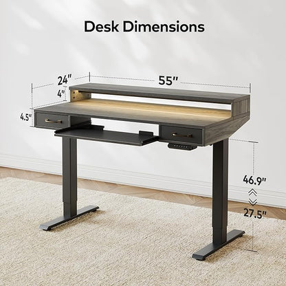 FEZIBO 55 x 24 Inch Height Adjustable Electric Standing Desk with Double Drawers&Keyboard Tray, Stand Up Desk with LED Strips&Monitor Stand,Rustic Grey Top