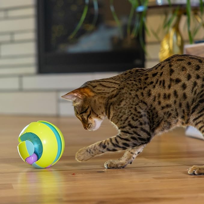 Catstages Twist-A-Ball 3-in-1 Convertible Cat Track Toy, Rolling Ball Toy for Indoor Cats, Green
