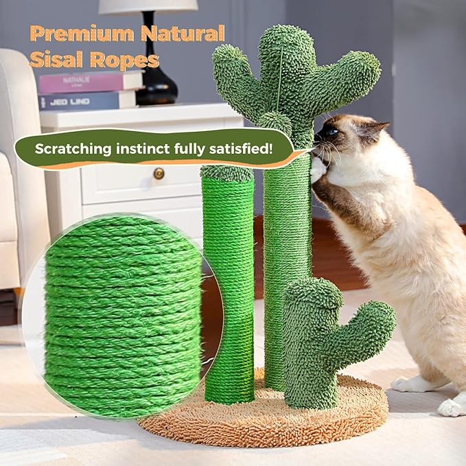 PAWZ Road Cat Scratching Post Cactus Cat Scratcher Featuring with 3 Scratching Poles and Interactive Dangling Ball -Large 27 Inches