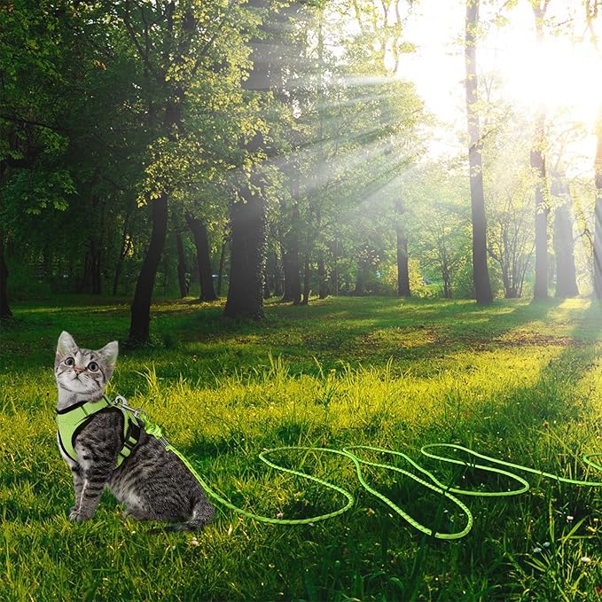 Reflective Cat Leash -50FT Cat Cable Out Escape Proof Walking Leads Yard Long Durable Safe Leash Traning Play Outdoor for Puppies/Kittens/Small Animals(Green)