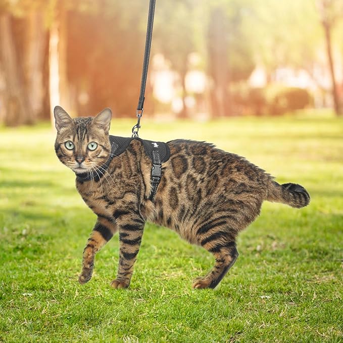 PUPTECK Cat Harness and Leash Set Escape Proof, Reflective Adjustable Soft Mesh Kitten Vest Harness for Walking Travel, Black, M