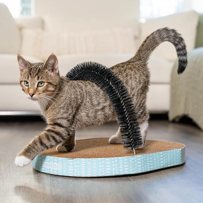 Catstages Scratch & Groom Cat Scratcher with Removable Curved Brush for Self-Grooming Station, Orange