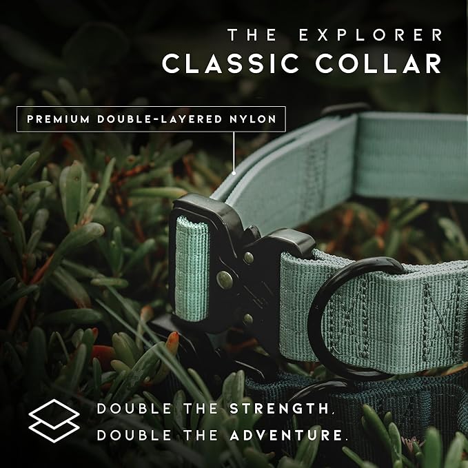 Made to ROAM Premium Explorer Control Collar - Adjustable Heavy Duty Nylon Dog Collar with Quick-Release Metal Buckle and Handle (Michigan Autumn, Control Size 5)