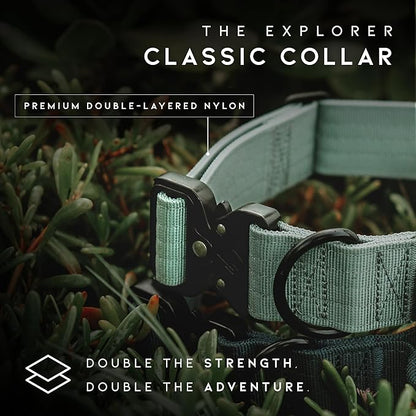 Made to ROAM Premium Explorer Control Collar - Adjustable Heavy Duty Nylon Dog Collar with Quick-Release Metal Buckle and Handle (New York Afterlight, Control Size 2.5)