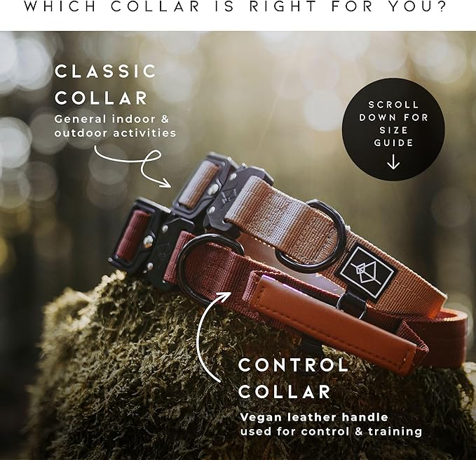 Made to ROAM Premium Dog Collar - Adjustable Heavy Duty Nylon Collar with Quick-Release Metal Buckle (Maine Marina, Classic Size 3)