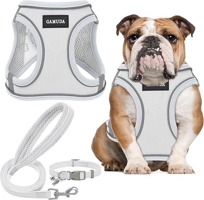 GAMUDA Small Pet Harness Collar and Leash Set, Step in No Chock No Pull Linen Fabric Soft Mesh Dog Vest Harnesses Reflective for Dogs Puppy Cats Kitten Rabbit (White, XL)