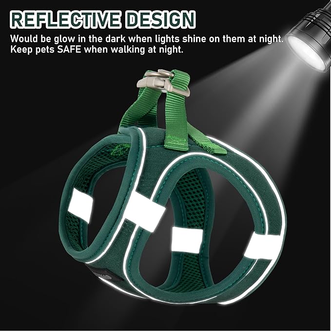 GAMUDA Small Pet Harness Collar and Leash Set, Step in No Chock No Pull Linen Fabric Soft Mesh Dog Vest Harnesses Reflective for Dogs Puppy Cats Kitten Rabbit (Green, M)