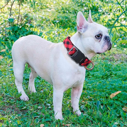 Reflective Dog Collar Padded with Soft Neoprene Breathable Adjustable Nylon Dog Collars for Small Medium Large Dogs (Large (Pack of 1), Red Plaid Collar+Leash)