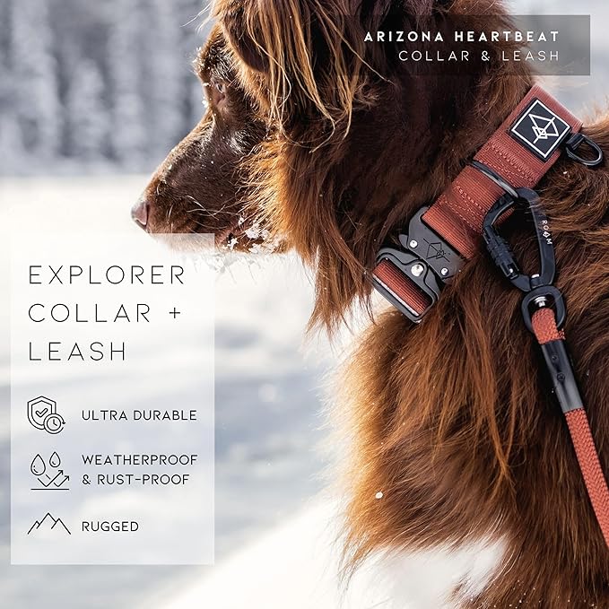 Made to ROAM Premium Explorer Control Collar - Adjustable Heavy Duty Nylon Dog Collar with Quick-Release Metal Buckle and Handle (Colorado Nightsky, Control Size 3)