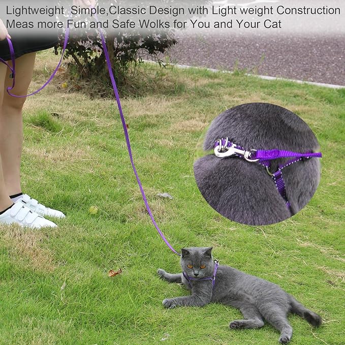 AMAGOOD 6 FT Cat Leash, Strong and Durable Traditional Style Leash with Easy to Use Collar Hook,Cat Lead Great for Cats (3/8 in x 6 ft,Black and Pruple(2-Pack))