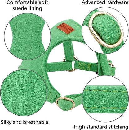 No Pull Dog Harness- Lightweight, Soft, Adjustable Small Harness Collar and Leash Set, Suitable for Cats Puppy Small and Medium-Sized Dog Outdoor Training and Running (Green, XXS)