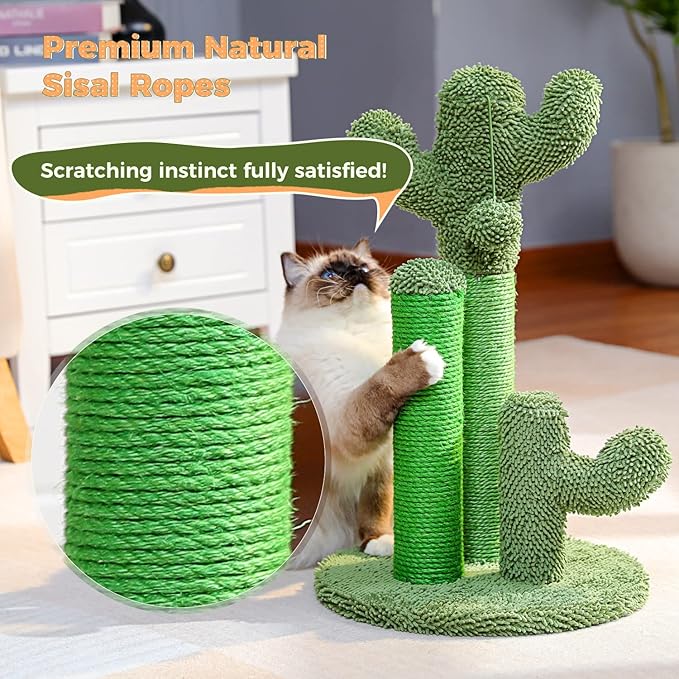 PAWZ Road Cat Scratching Post Cactus Cat Scratcher Featuring with 3 Scratching Posts and Dangling Ball-Medium 23 Inches