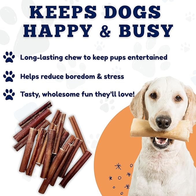 Amazing Dog Treats - 6 Inch Medium Size Bully Sticks (40 Count) - Bulk Bully Sticks for Dogs - No Hide Bully Stick Dog Bones