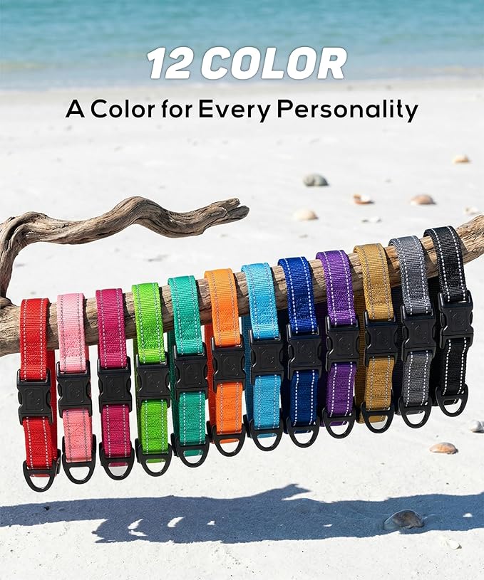 TagME Reflective Nylon Dog Collars, Adjustable Classic Pet Collar with Quick Release Buckle for Medium Dogs, Royal Blue, 1.0" Width