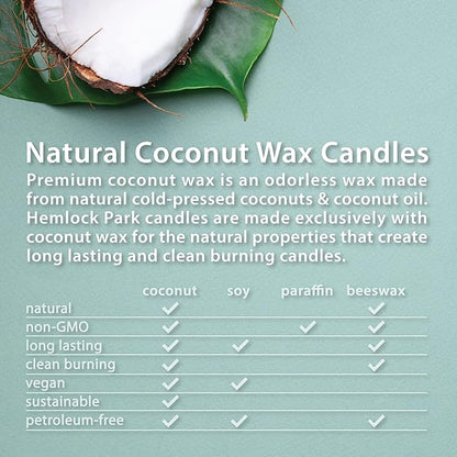 Hemlock Park Crackling Wood Wick Candle Handcrafted with Natural Coconut Wax (Standard 8 oz, Teakwood)