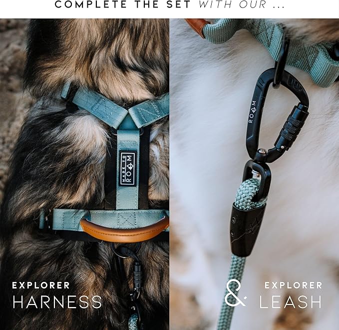 Made to ROAM Premium Dog Collar - Adjustable Heavy Duty Nylon Collar with Quick-Release Metal Buckle (New York Afterlight, Classic Size 4)