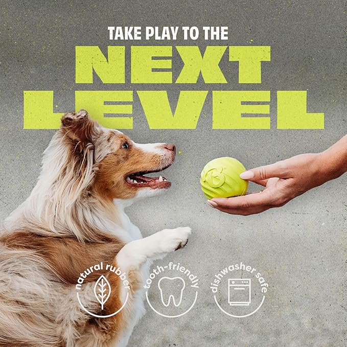 Benebone 2-Pack Rubber Ball