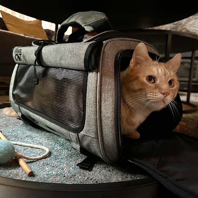Travel Cat Carrier Bag - Portable Comfort Soft Sided Transpurrter Cat Carrier for Small Medium Cats Kitten up to 30 LBs Airline Approved Backpack with Shoulder Strap (Heather Grey)