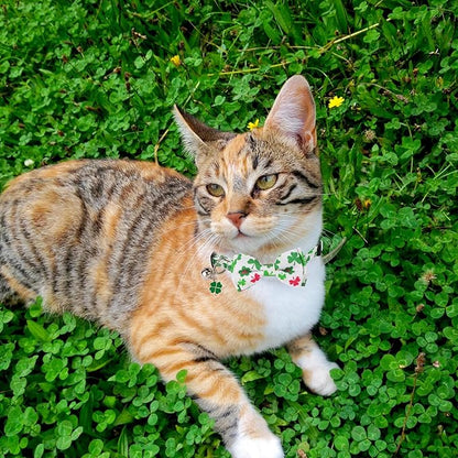 ADOGGYGO St. Patrick's Day Cat Collars with Bow Bell, Green Shamrock Pattern Kitten Collar with Removable Bowtie, Pet St Patricks Collars for Cats Kittens (St. Patrick's Day)