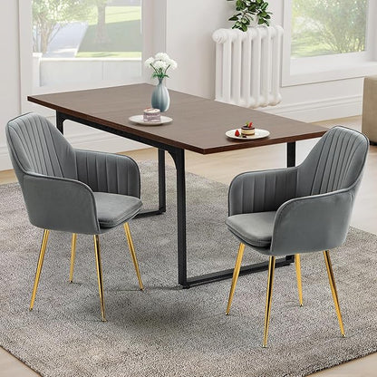 ECOTOUGE Matte Velvet Dining Chairs Set of 2, Modern Arm Chair with Golden Metal Legs, Living Room Accent Chairs for Kitchen, Grey