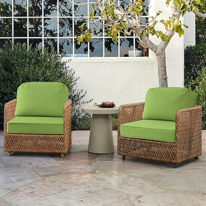 Outdoor Sunbrella Cushions for Patio Furniture Set of 2, 24"x24" Water Repellent Chair Cushions Removable Seat Bottom & Back Cushion Covers for Chair, Sofa, Couch, Canvas Ginkgo