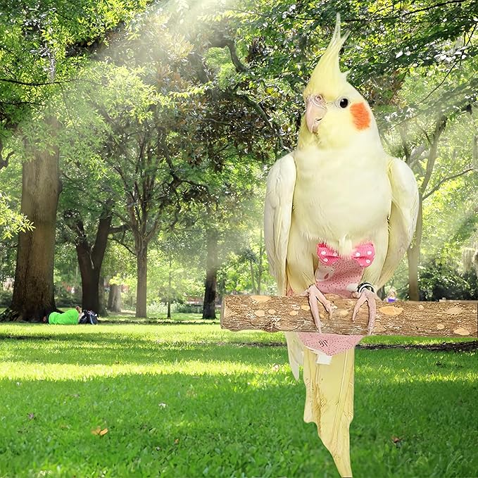 2Pcs Bird Diapers Bird Harness Flight Suits Diapers with 80 Inch Flying Leash Parrot Nappy Washable Cute Urine Wet Suit for Cockatiel Conure Macaw Budgies Parakeet-Rabbit&Pineapple,S