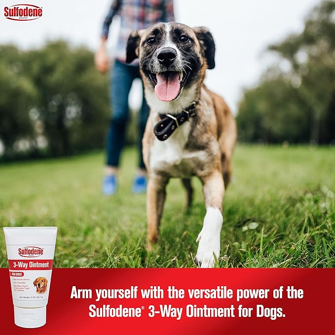 Sulfodene Dog Wound Care 3-Way Ointment, Relieves Pain & Prevents Infection For Dog Cuts, Scrapes, Bites and Injuries, 2 Ounce