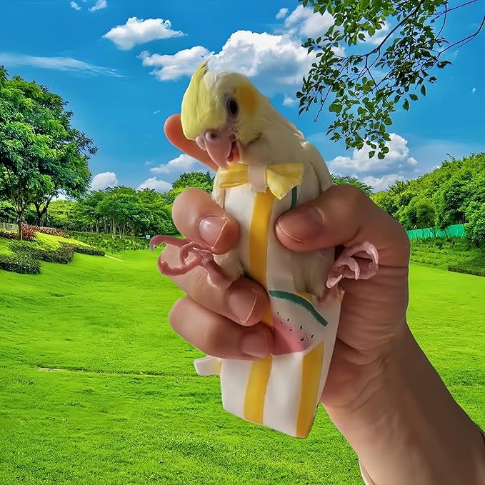 2Pcs Bird Diapers Bird Harness Flight Suits Diapers with 80 Inch Flying Leash Parrot Nappy Washable Cute Urine Wet Suit for Cockatiel Conure Macaw Budgies Parakeet-Rabbit&Watermelon,S