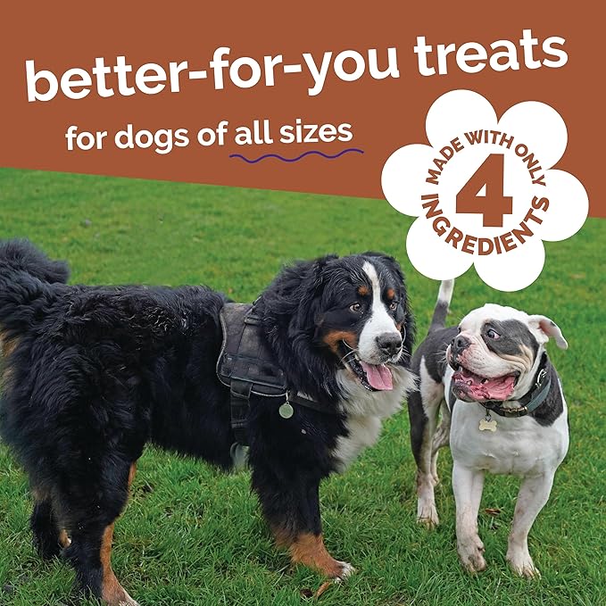 Fruitables Whole Jerky Bites, Grilled Bison & Apple Dog Treats, Healthy Dog Treats, Limited Ingredients, No Corn, Wheat, or Soy, Puppy Essentials, 5oz