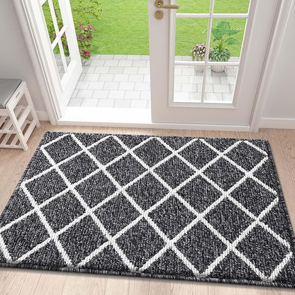Finchitty Indoor Door Mat, Dirt Resistant and Absorbent, Low-Profile, Non-Slip, Washable Inside Floor Mats for Front Door, Back, and Entrance, 32" x 20", Black