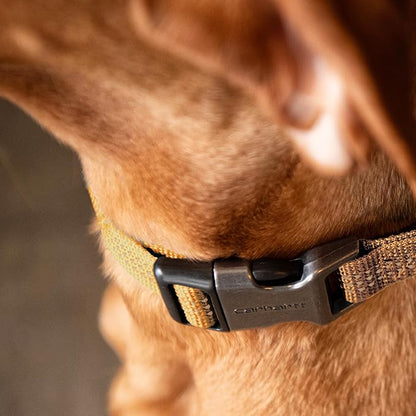 Carhartt Nylon Webbing Dog Collar, Fully Adjustable W/Durable Side Release Buckle, Light Moss, Medium