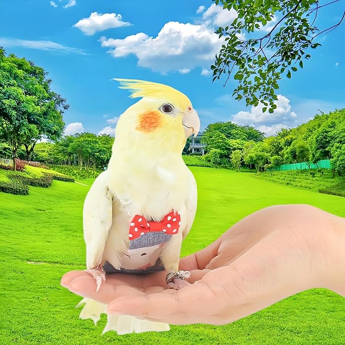2Pcs Bird Diapers Bird Harness Flight Suits Diapers with 80 Inch Flying Leash Parrot Nappy Washable Cute Urine Wet Suit for Cockatiel Conure Macaw Budgies Parakeet-Kitten&Watermelon,M